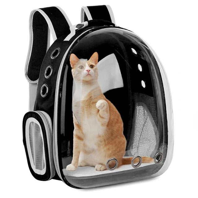 Panoramic Space Pet Backpack