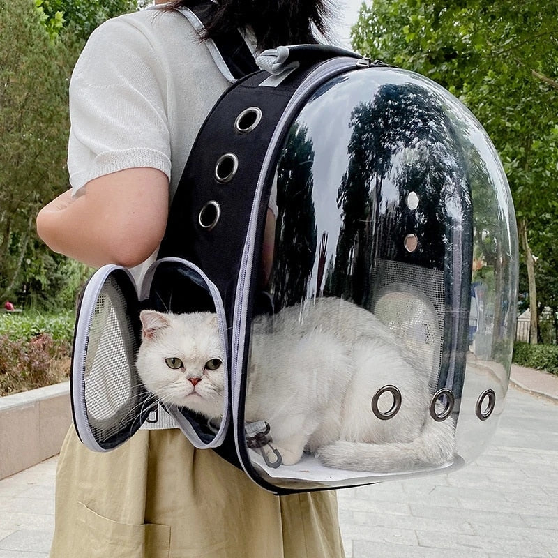 Panoramic Space Pet Backpack