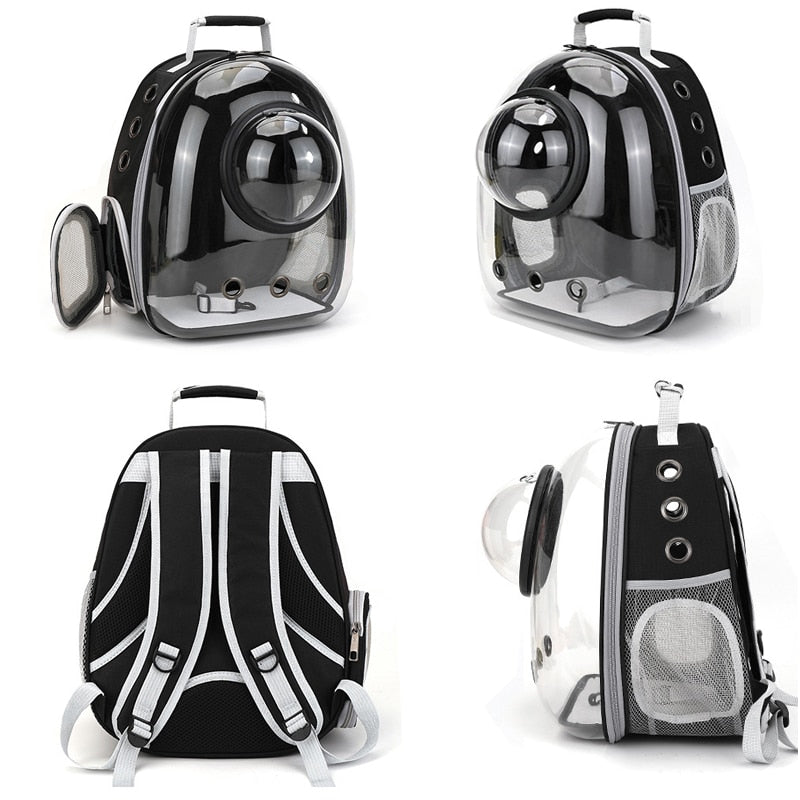 Panoramic Space Pet Backpack