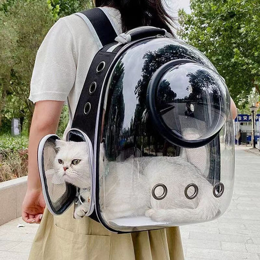 Panoramic Space Pet Backpack